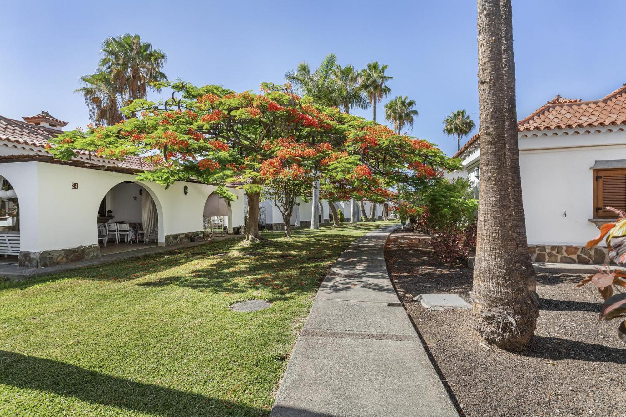 Precioso Bungalow En Maspalomas San Bartolomé 외부 사진